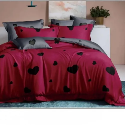 Σετ Σεντόνια 5 Τμχ Με Παπλωματοθήκη Υπέρδιπλη 220Χ240 PPA411